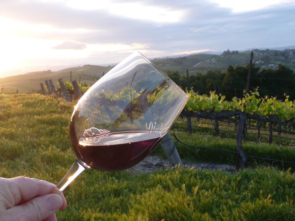 The Eden House Vineyard Hotell Templeton Exteriör bild