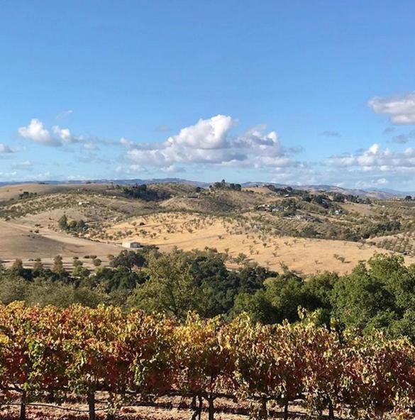 The Eden House Vineyard Hotell Templeton Exteriör bild